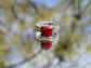 Red Rodeo Ring