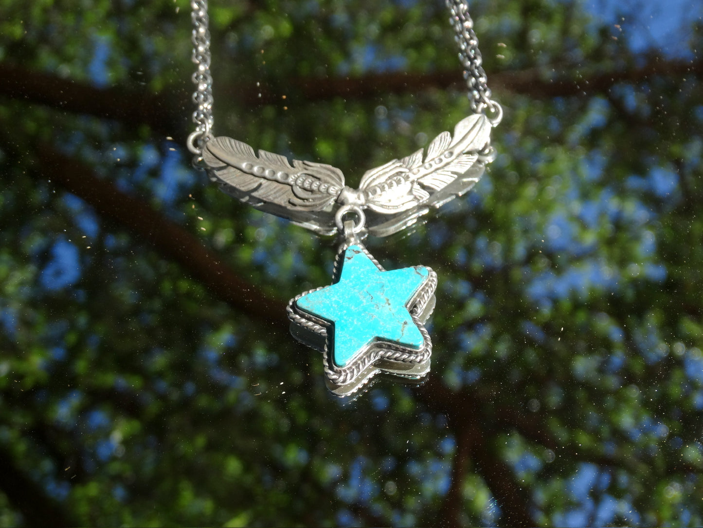The Show Ring Star